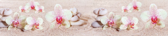 Панель SP 127 Орхидеи на песке 2800х610х6 купить