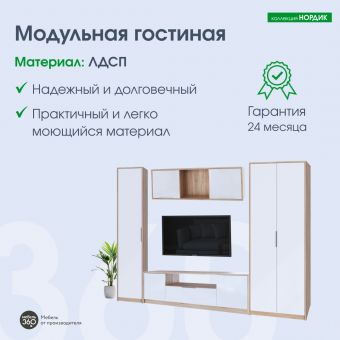 Гостиная Нордик Дуб сонома/ Белая Аляска купить