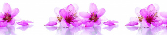 Панель SP 141 Розовые цветы с отражением 2800x610x6 купить