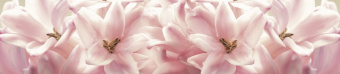 Панель SP 006 Розовые лилии 2800x610x6 купить